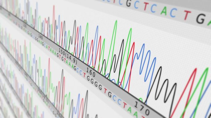 DNA序列。生物学胞嘧啶基因研究