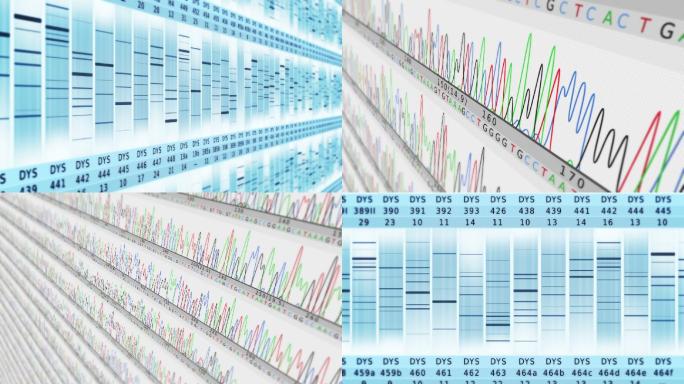 DNA序列。生物学胞嘧啶基因研究