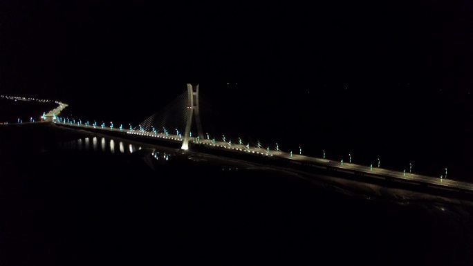 阿拉尔特大桥夜间航拍