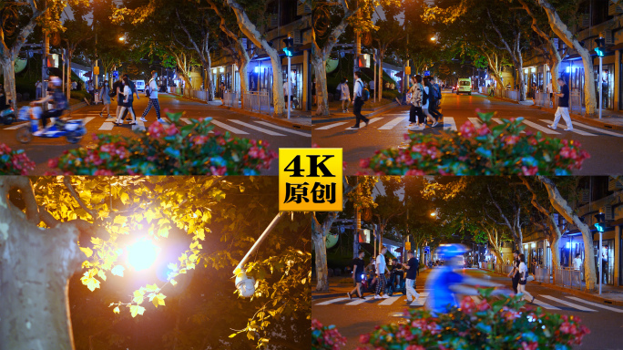 4K原创)城市夜景温馨街道路灯梧桐树