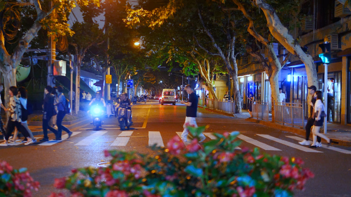 4K原创)城市夜景温馨街道路灯梧桐树