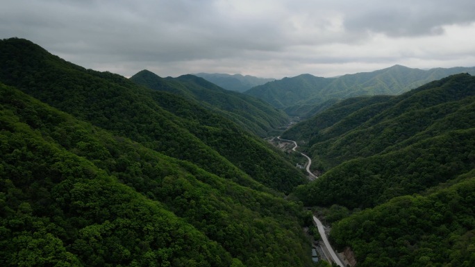 集安山峰山峦河流养蜂人椴树蜜蜂箱