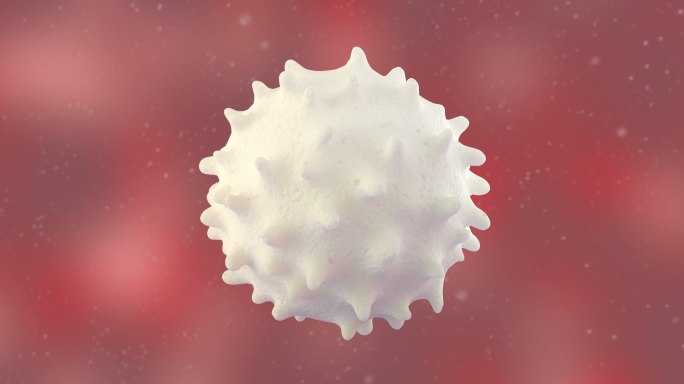 白细胞三维动画新冠免疫系统医疗