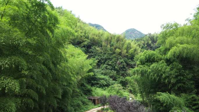 杭州富阳常绿石梯景区