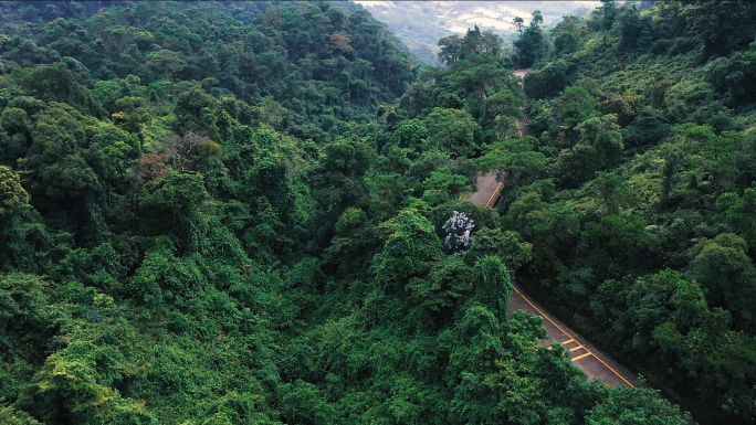 汽车行驶在山路1