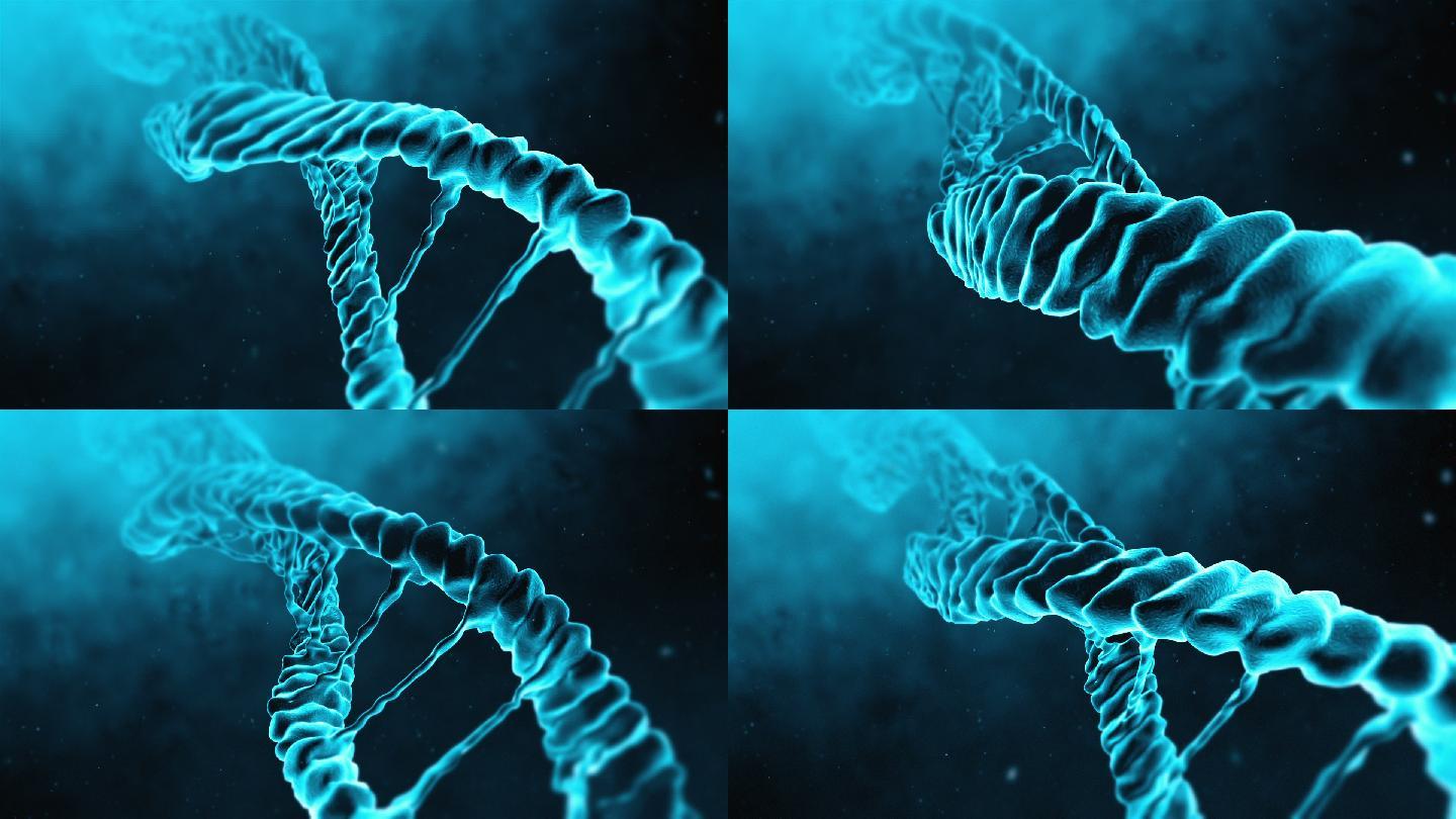 DNA分子的三维循环动画