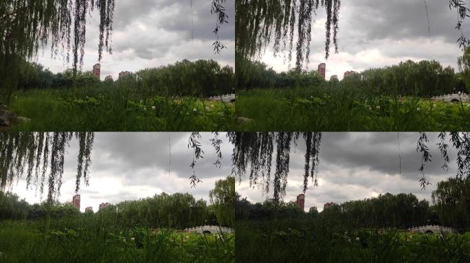 公园池塘边雨前阴云密布延时拍摄