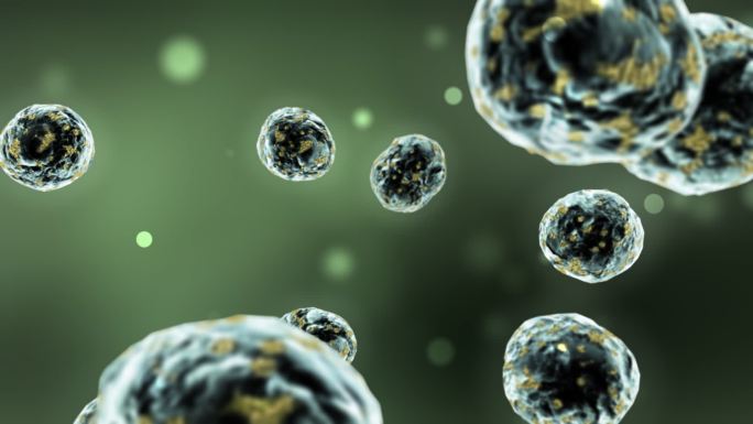 感染细胞增殖繁殖特效三维3d素材元素