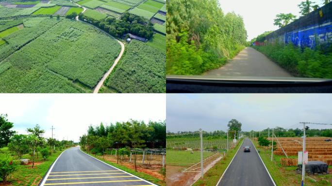 乡村道路空镜