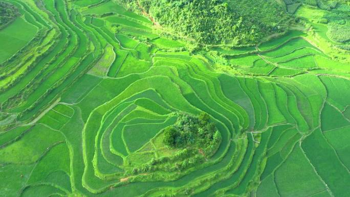 航拍山村农村梯田