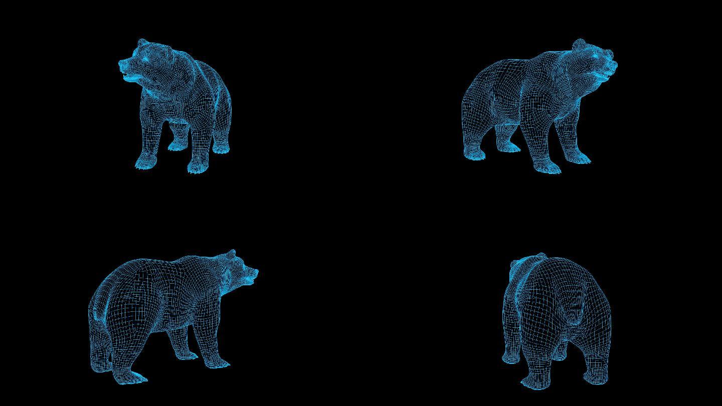 蓝色全息科技熊循环带通道