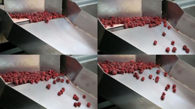 一条新鲜树莓生产线