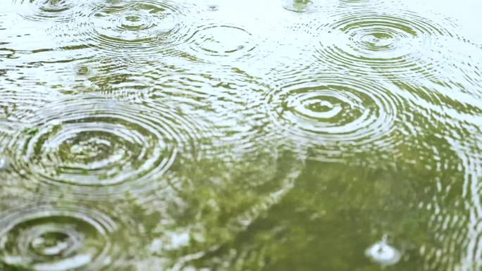 雨滴落在水里涟漪