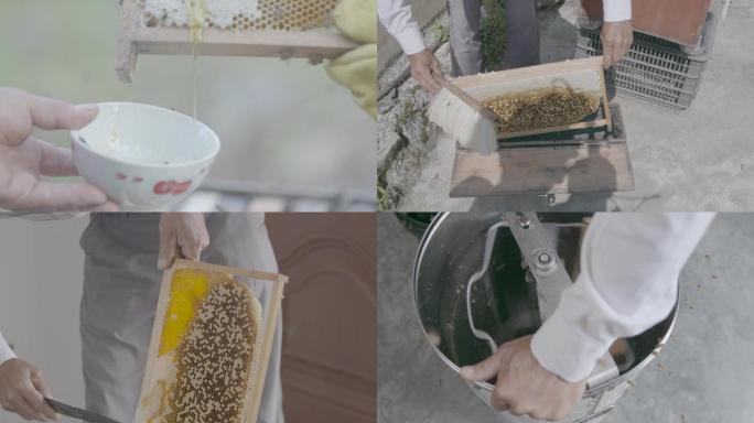 不同方式取蜂蜜传统养蜂人五倍子花