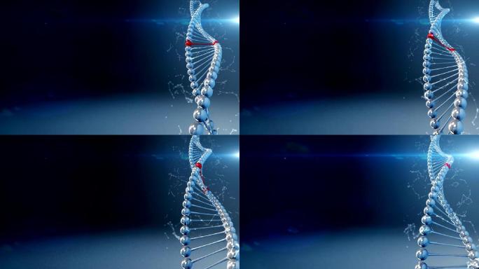 脱氧核糖核酸（DNA）的旋转图