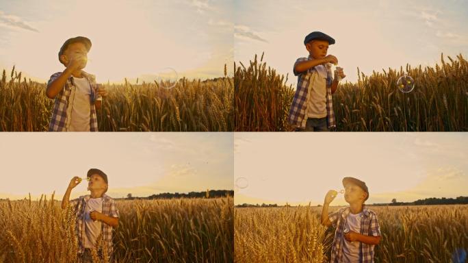 小男孩在玩泡泡棒小麦玩耍快乐