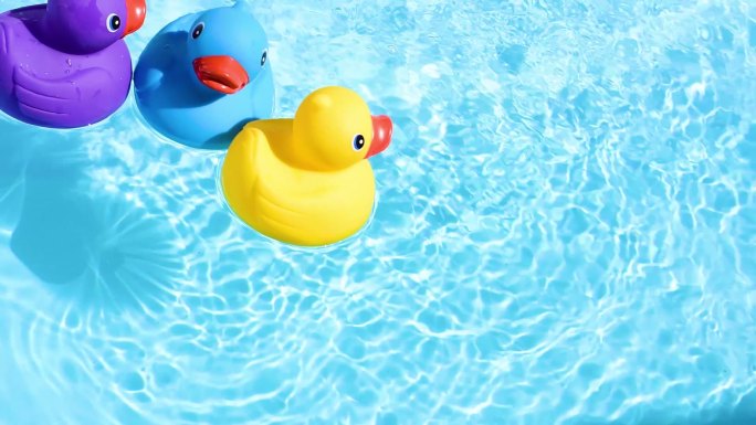 橡皮鸭在池水上悠闲地漂浮