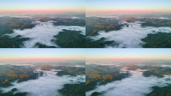 4K航拍航拍清晨山谷的云海
