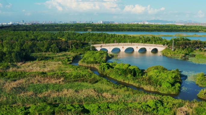 航拍生态湿地公园风景广州4K