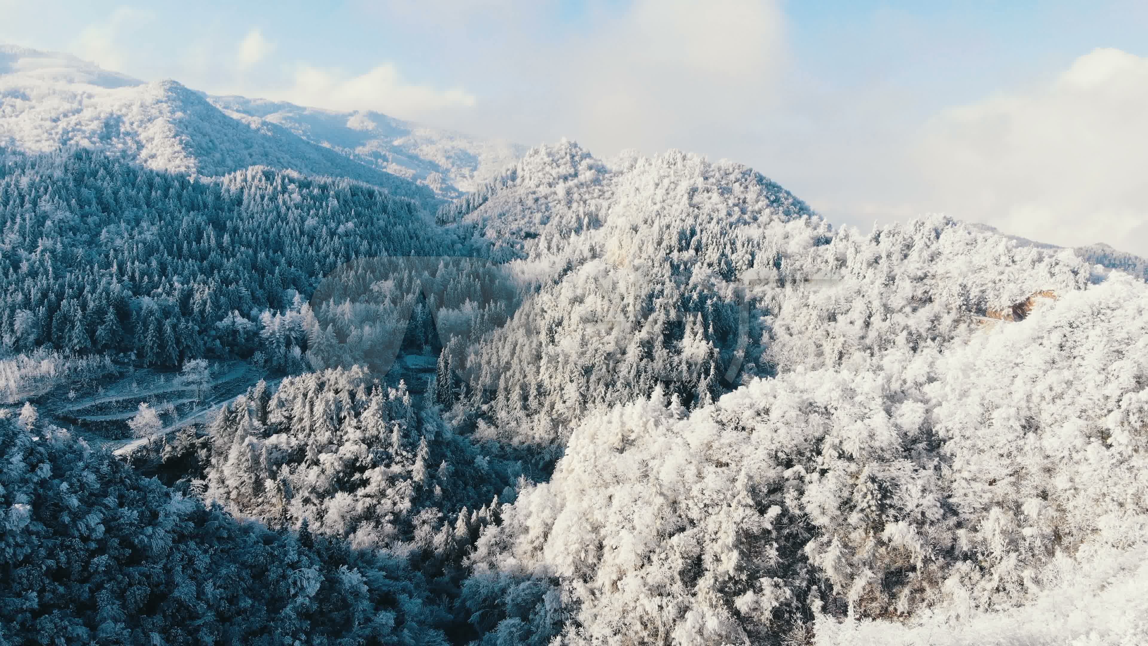 寒冬时的森林鸟瞰图_3840x2160_高清视频素材下载(编号:6080107)_实拍