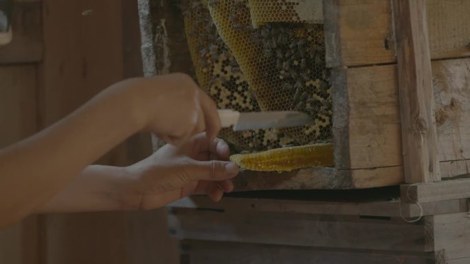 贵州蜂箱燃烟熏蜂取蜜