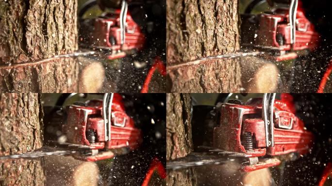 一个电锯锯切到树上的慢镜头