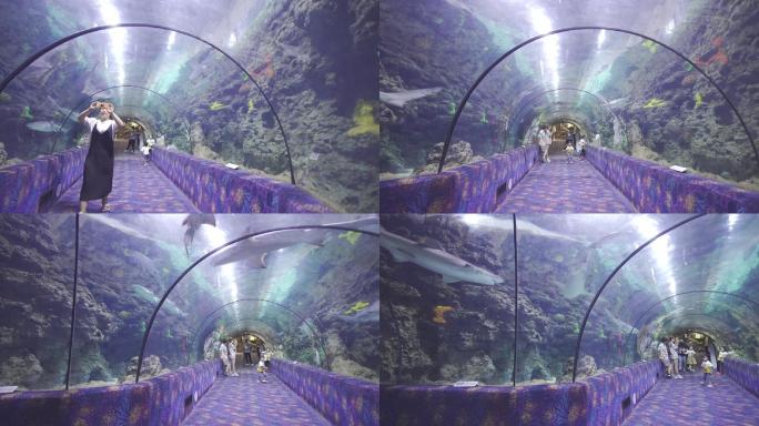郑州海洋馆海底隧道