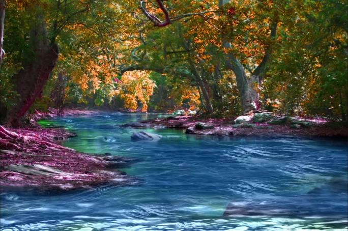 秋天流水优美风景循环