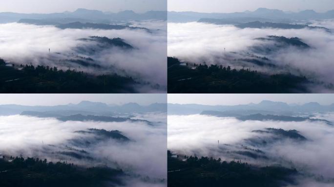 山顶流动的云雾中国风水墨山水