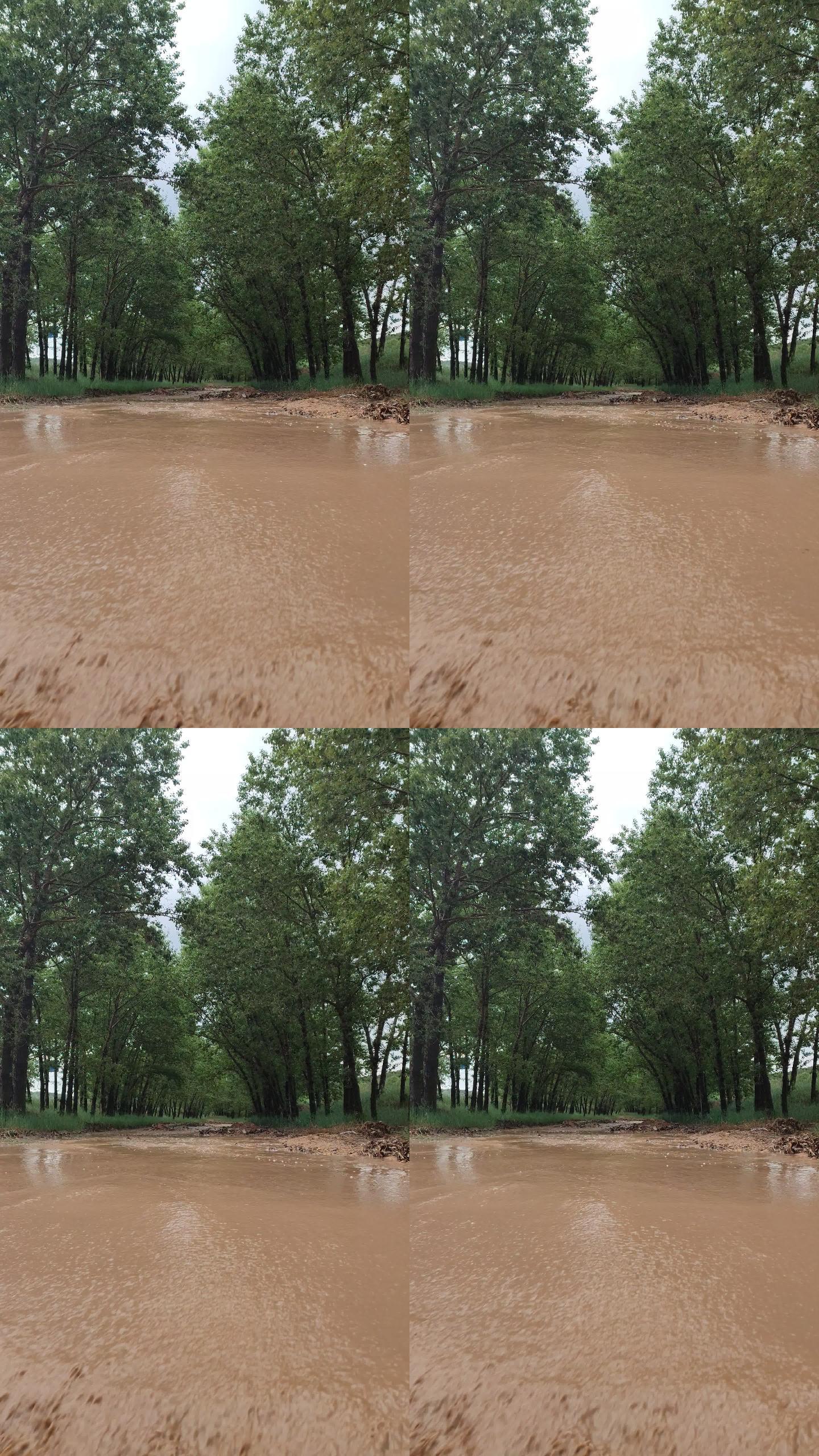 竖版雨季自然灾害河水泛滥