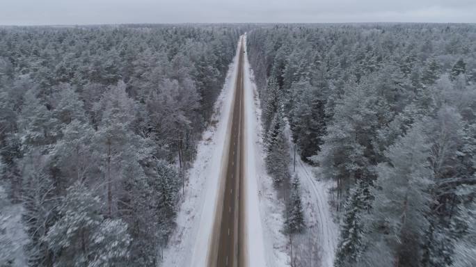 森林里的冬路