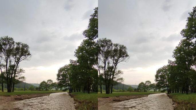 竖版雨季自然灾害河水泛滥