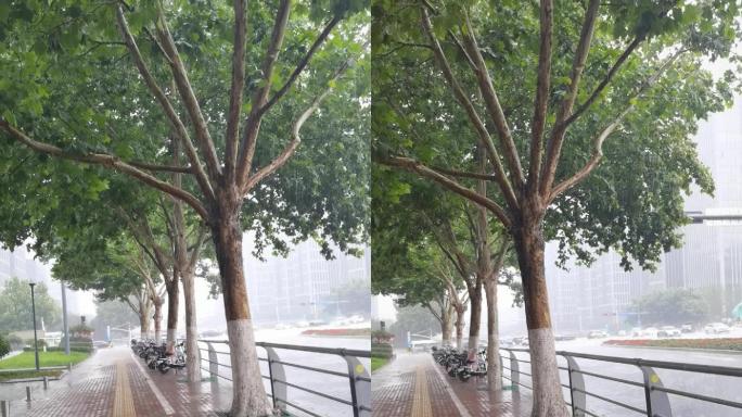 竖屏下雨的城市