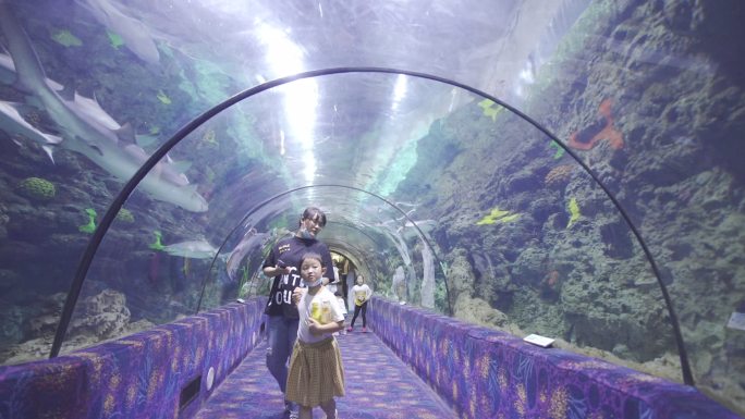 郑州海洋馆海底隧道