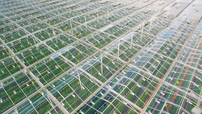 无人机视角下的蔬菜温室