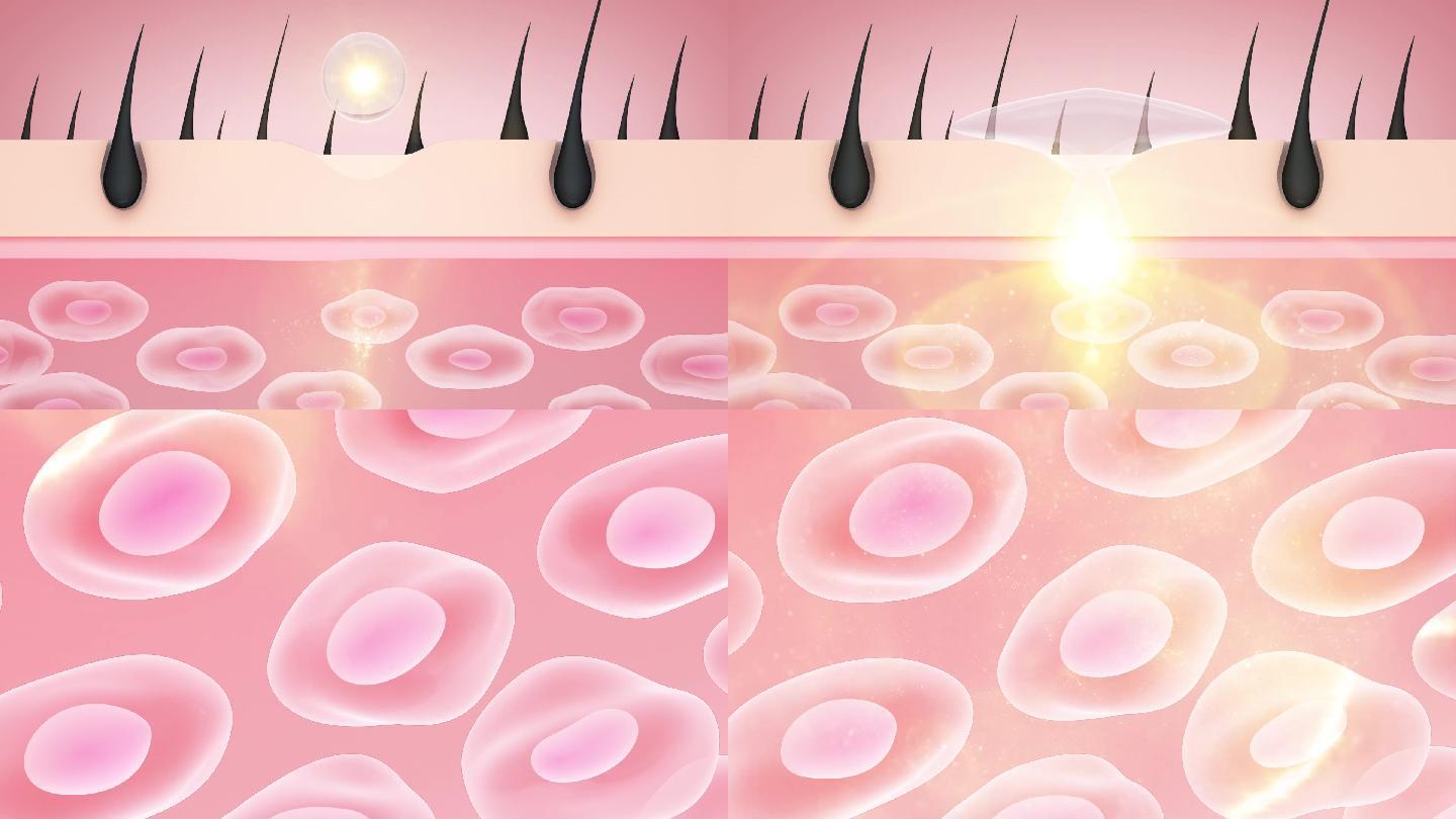 c4d 皮肤细胞吸收激活细胞三维动画