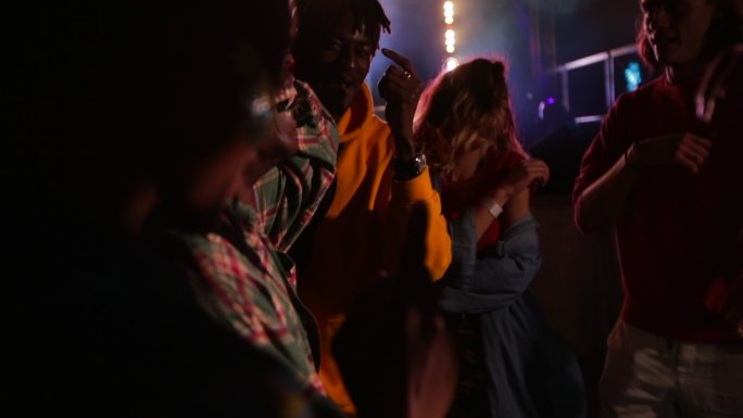 一个音乐节上，一群朋友在欢笑跳舞。