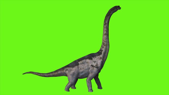 绿色背景前的恐龙