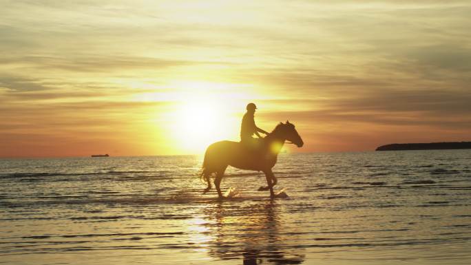 夕阳下海滩上骑马的骑手的剪影