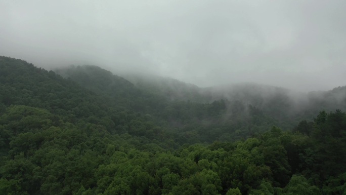 森林云雾4K高清航拍