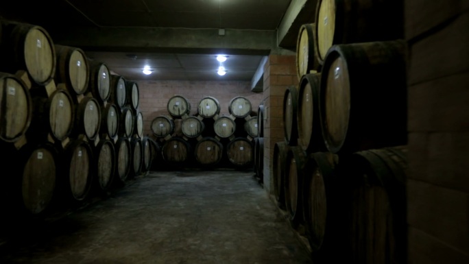葡萄酒酿造厂与长排酒桶。