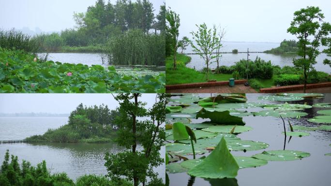 生态宜居南方水乡