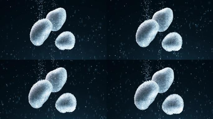 水下生物酵母医学微观研究可随意更改