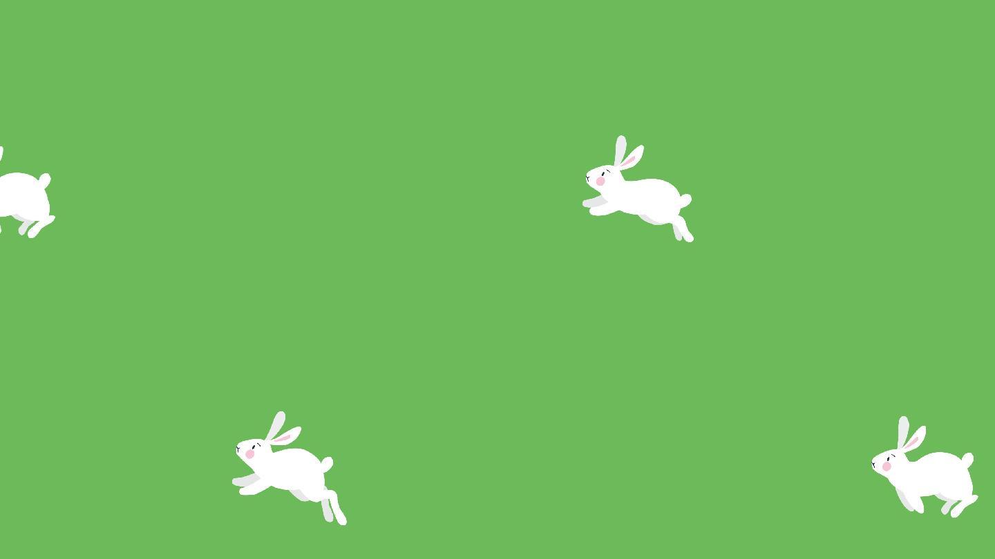 在绿色背景上奔跑的可爱的小白兔