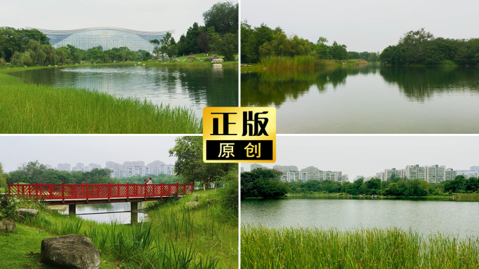 成都锦城公园