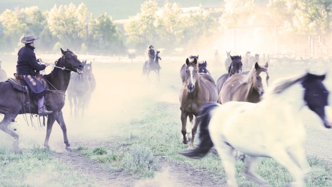 美国牛仔在蒙大拿牧场上围捕马匹
