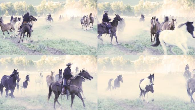 美国牛仔在蒙大拿牧场上围捕马匹