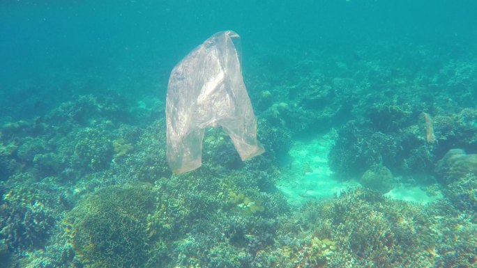 水里漂浮的垃圾袋