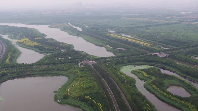 天津滨海海河教育园区-湿地体育场
