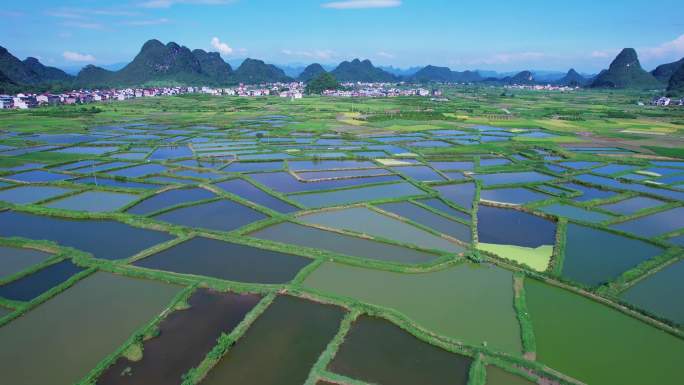 会仙玻璃田和会仙湿地公园航拍